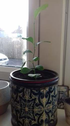 48417955_801235870213711_5340842629154209792_n