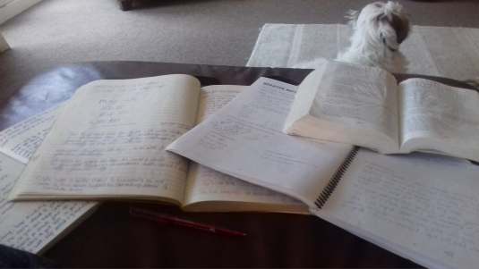 50312660_1239414489542930_2624776173829226496_n