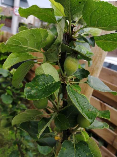 61992911_310963239792807_8057210058607427584_n